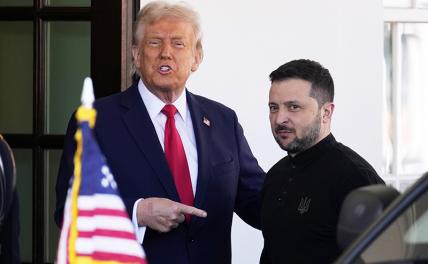 Во время следующего визита Зеленского в США Трамп вытрет о него ноги с особым удовольствием